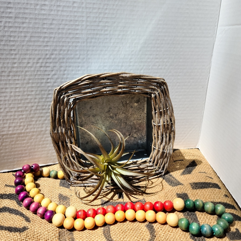 🌵Small Galvinized and Wicker Shelf Wall Art